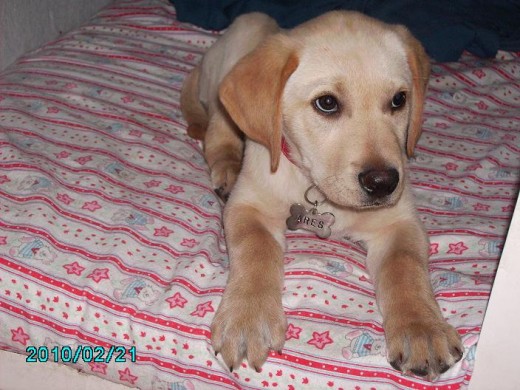 UN LINDO BEBE DE 2 MESES 